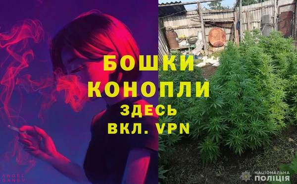 ГАЛЛЮЦИНОГЕННЫЕ ГРИБЫ Вязники