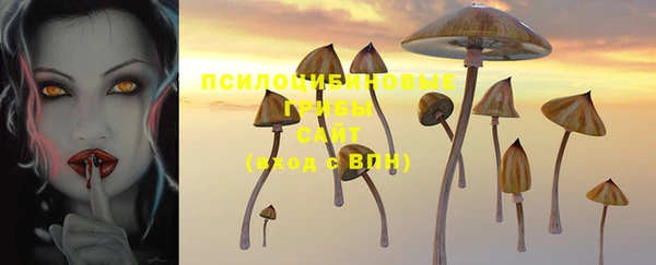 Альфа ПВП Волосово